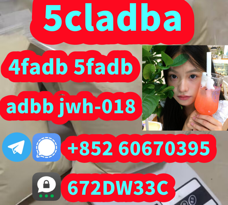 B05A5C34C107BC91D2CA633271668CE2
