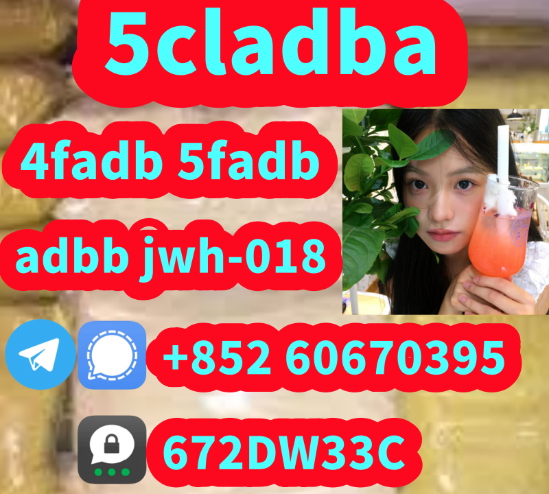 b3cabfe2c12db654688f1b29899e5566