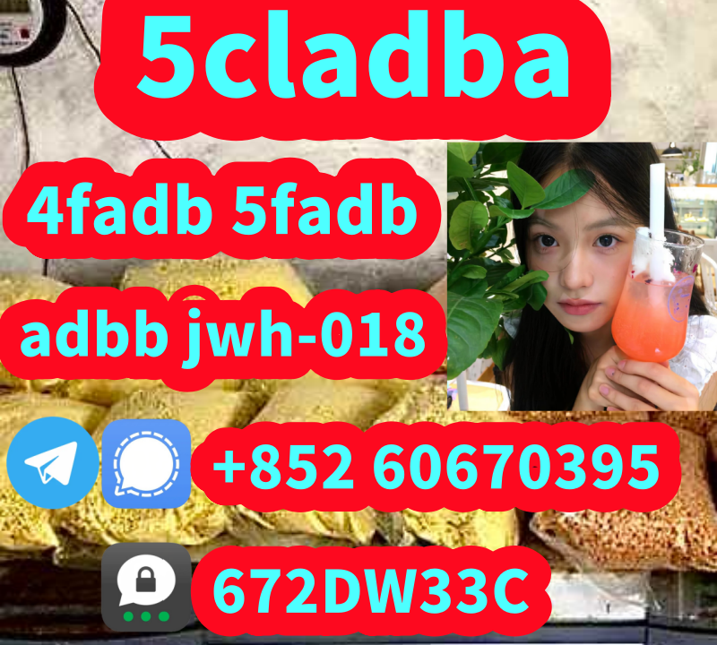 c05de71a46c3bbf6649eae09873fac03